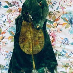 Green Dinosaur Costume